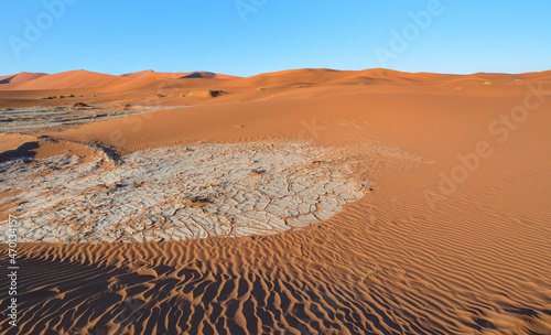 Orange sand dune with blue sky - Sossusvlei  Namib desert  Namibia  Southern Africa