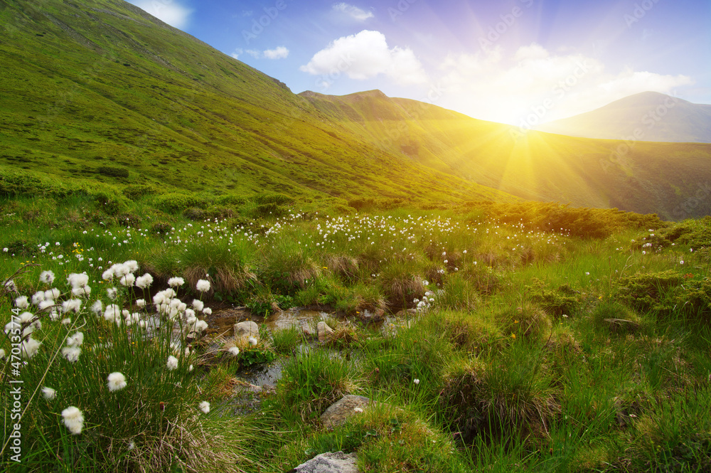Fototapeta premium Mountain landscape on sun