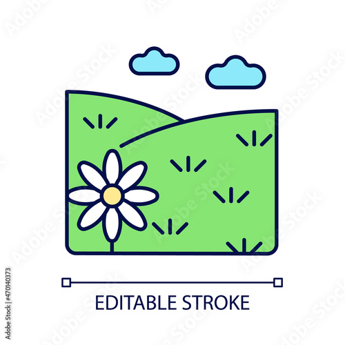 Meadow RGB color icon. Grass covered open land. Field with flowers. Grassland and pastureland. Herb vegetated plain terrain. Isolated vector illustration. Simple filled line drawing. Editable stroke