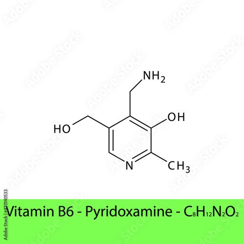 Vitamin B6 Pyridoxamine Skeletal structure and molecular formula. Organic biomolecule, isolated vector illustration