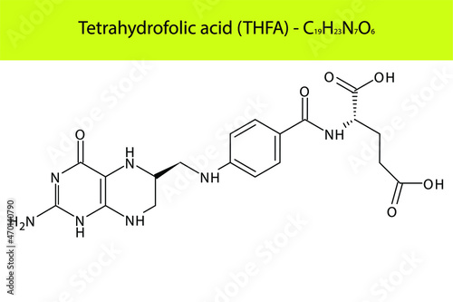 Vitamin B9 derivative Tetrahydrofolic acid - THFA Skeletal structure and molecular formula. Organic biomolecule, isolated vector illustration