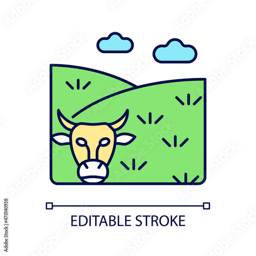 Pasture RGB color icon. Grassland and rangeland. Grass covered land type. Livestock grazing field. Forage plant growing area. Isolated vector illustration. Simple filled line drawing. Editable stroke