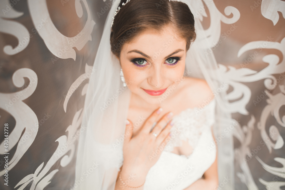Beautiful bride wearing fashion wedding dress with feathers with luxury delight make-up and hairstyle, studio indoor photo shoot Beautiful bride wearing fashion wedding dress with feathers with luxury delight make-up and hairstyle, studio indoor photo shoot
