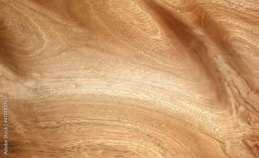 Obraz premium Wood texture background