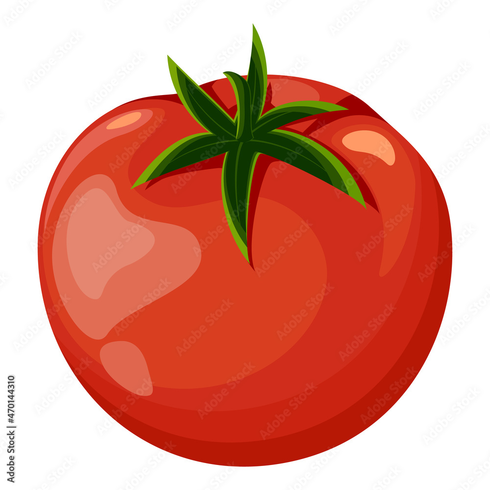 Fresh red tomato. Isolated vector illustration Fresh red tomato. Isolated vector illustration