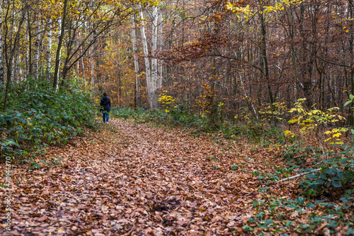 a person is walking in the autumn forest