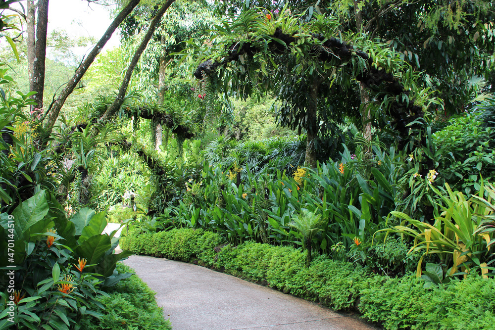 at the singapore botanic gardens in singapore at the singapore botanic gardens in singapore