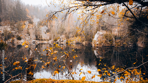 autumn nature