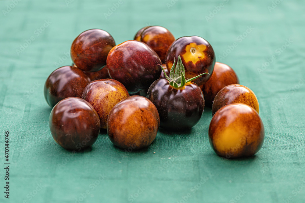 Obraz premium fresh cherry tomatoes of different varieties on the green background, closeup