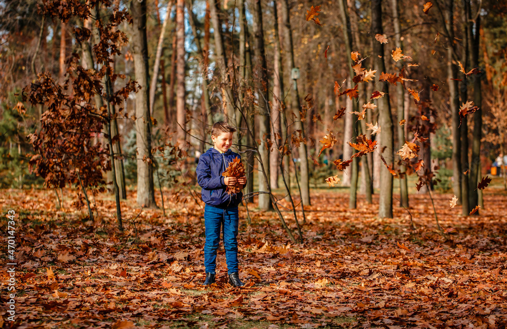 A boy in a blue jacket throws up leaves in an autumn park. Autumn park walk concept A boy in a blue jacket throws up leaves in an autumn park. Autumn park walk concept