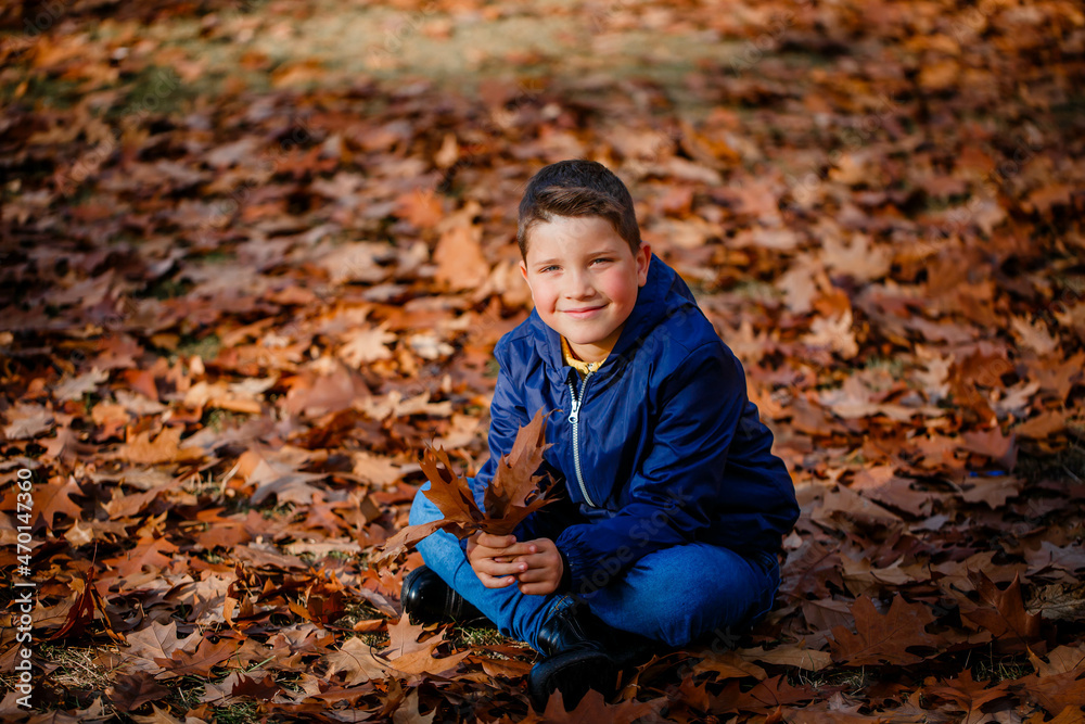 A boy in a blue jacket holds a bouquet of his autumn fallen maple leaves in an autumn park. Autumn park walk concept A boy in a blue jacket holds a bouquet of his autumn fallen maple leaves in an autumn park. Autumn park walk concept