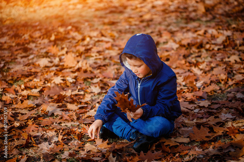 A boy in a blue jacket holds a bouquet of his autumn fallen maple leaves in an autumn park. Autumn park walk concept