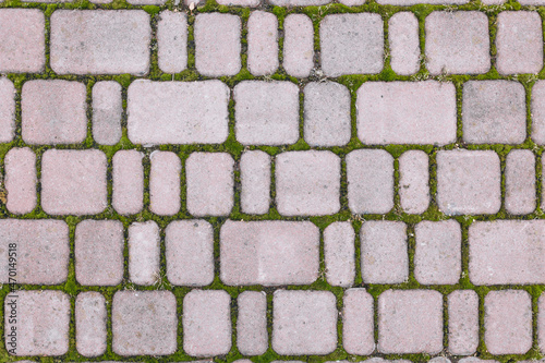 stone pavement texture