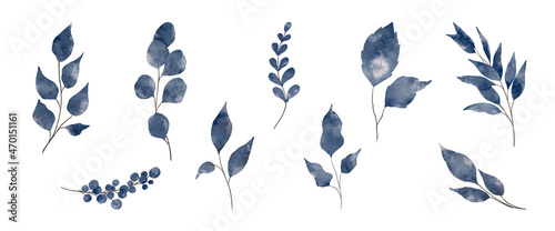 Watercolor botanical set with navy blue twigs and leaves.
