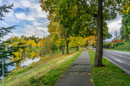 Shoreline Fall Trees Row 6