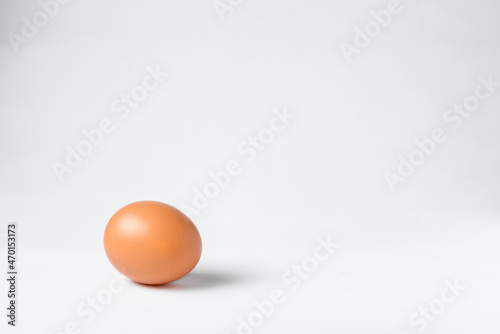 one egg shadow view side white background
