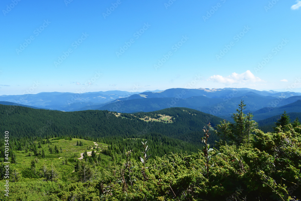Wonderful summer countryside landscape in Carpathian mountains. Picturesque valley, greens of forests and meadows.