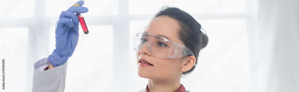young scientist in latex glove and goggles holding test tube with blood, banner. young scientist in latex glove and goggles holding test tube with blood, banner.