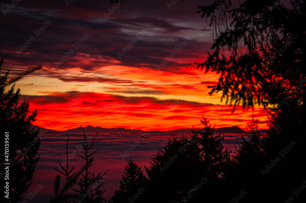 Fototapeta premium sunset over the river