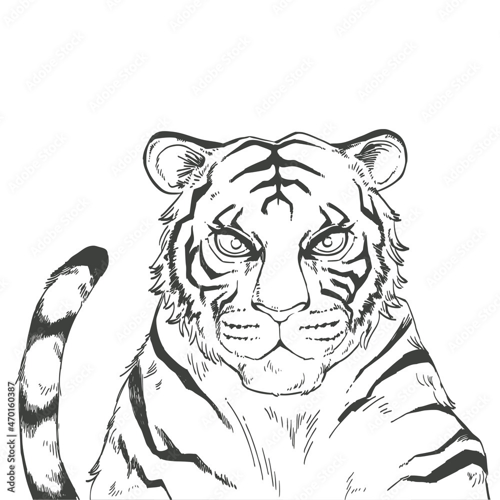 虎の手描きモノクロイラスト素材 Stock Vector Adobe Stock 虎の手描きモノクロイラスト素材 Stock Vector Adobe Stock