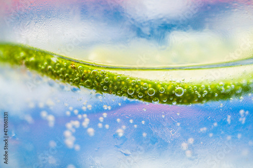 splash
