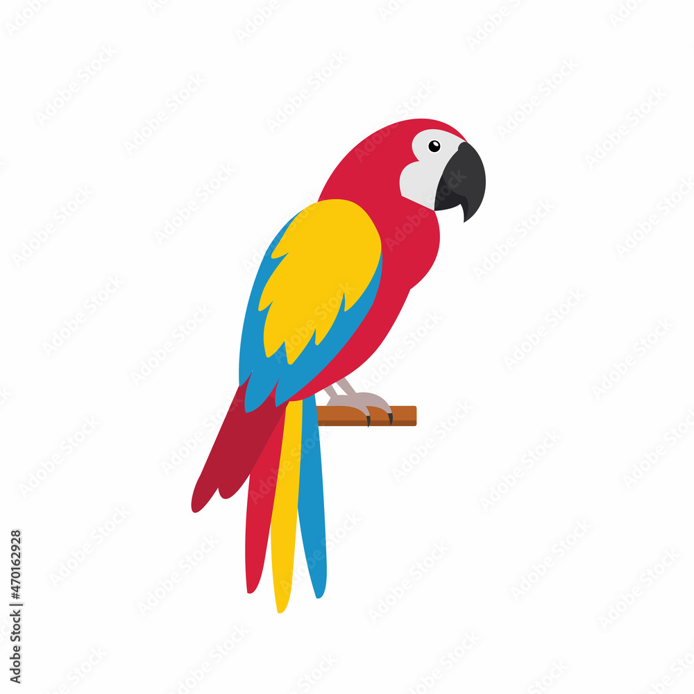 Colorful tropical parrot isolated on white background.  Red macaw parrot. Tropical birds. Vector stock