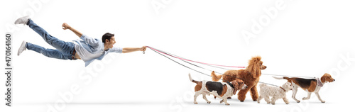 Photography Guy dog walker flying with multiple dogs on a lead