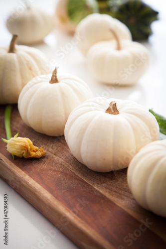 White pumpkins on wooden board with pumpkin blossom