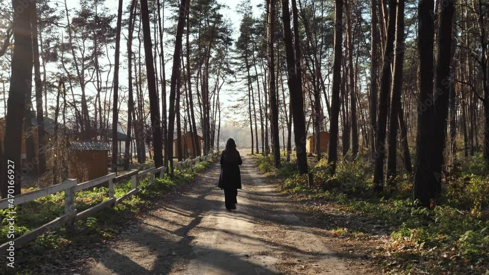 Young brown-haired woman from the back walks on a path in a pine forest in autumn on a sunny day. Girl in a coat and pants, shooting with an electronic stabilizer, slow motion Young brown-haired woman from the back walks on a path in a pine forest in autumn on a sunny day. Girl in a coat and pants, shooting with an electronic stabilizer, slow motion