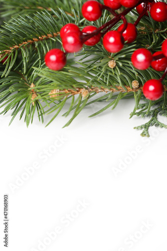 Christmas tree branches with red berries, close up
