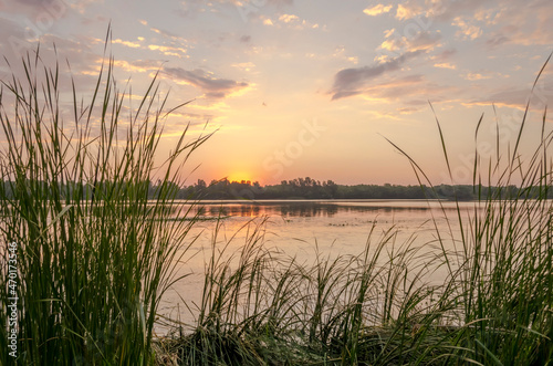 Sunrise in the early summer morning