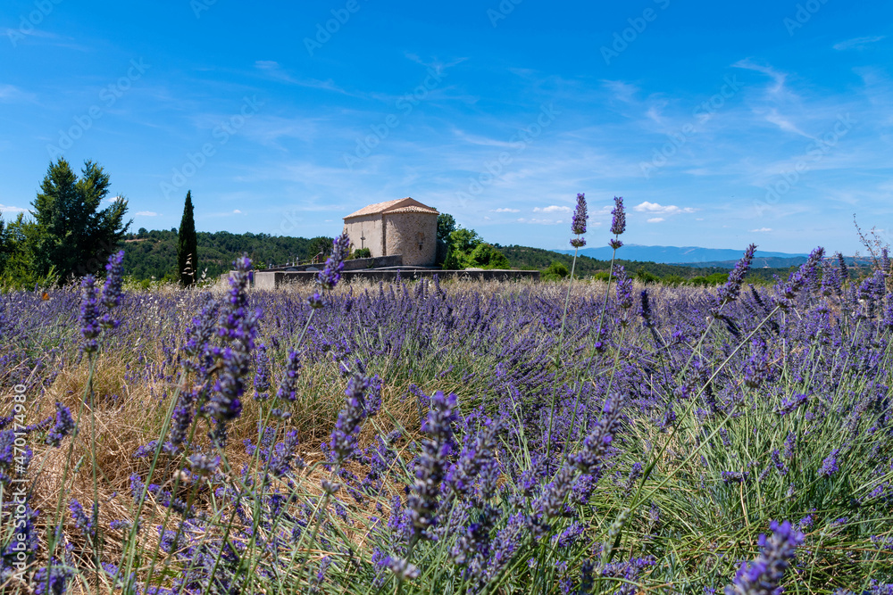 Côte d’Azur in Frankreich, eine Traumreise für den Sommer. Lavendel Felder, Nizza, Antibes, Cannes, Monaco und die Schlucht von Verdon Côte d’Azur in Frankreich, eine Traumreise für den Sommer. Lavendel Felder, Nizza, Antibes, Cannes, Monaco und die Schlucht von Verdon