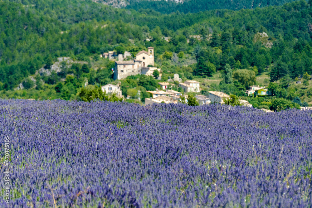 Côte d’Azur in Frankreich, eine Traumreise für den Sommer. Lavendel Felder, Nizza, Antibes, Cannes, Monaco und die Schlucht von Verdon Côte d’Azur in Frankreich, eine Traumreise für den Sommer. Lavendel Felder, Nizza, Antibes, Cannes, Monaco und die Schlucht von Verdon