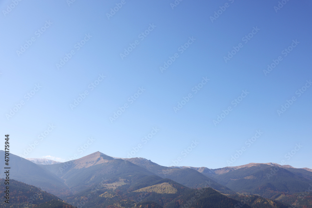Beautiful mountain landscape with forest on sunny autumn day