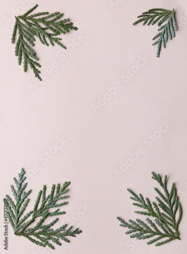 Pine leaves frame with copy space