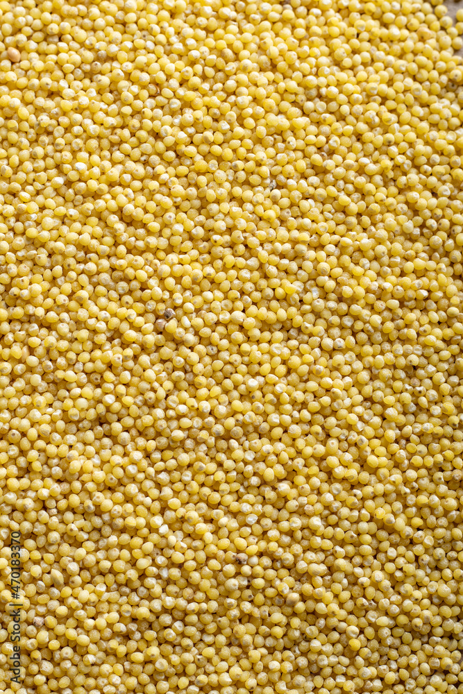 millet grits close-up