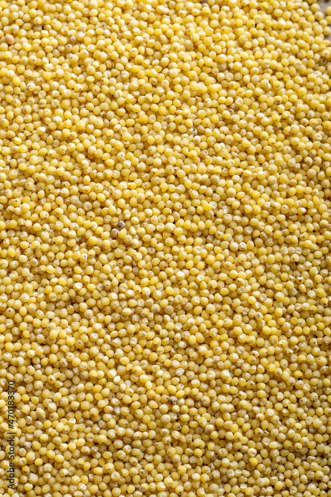 millet grits close-up millet grits close-up