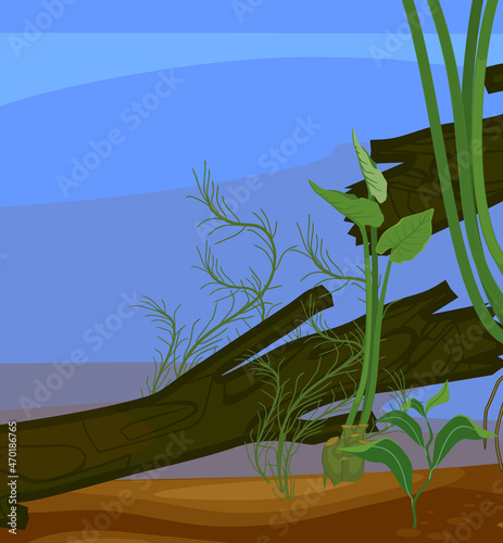 Abstract underwater pond landscape with driftwood and aquatic plants