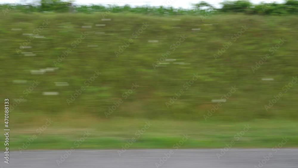 Travelling on highway past tall green verge. Great background for copy, text or logo. Travelling on highway past tall green verge. Great background for copy, text or logo.