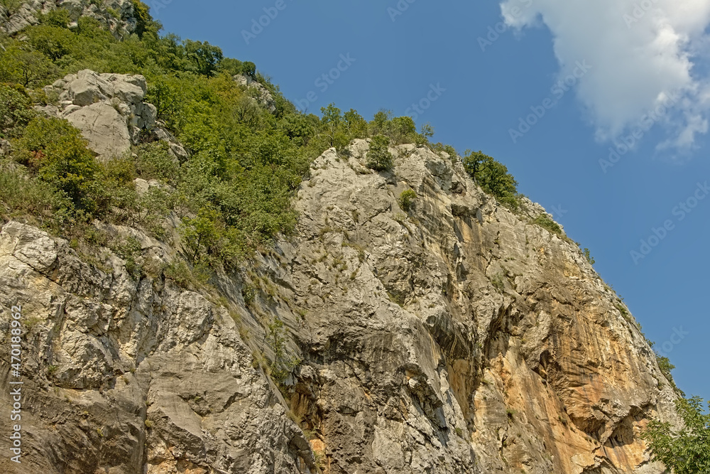 Detail of a Transylvanian mountain ridge with trees Detail of a Transylvanian mountain ridge with trees