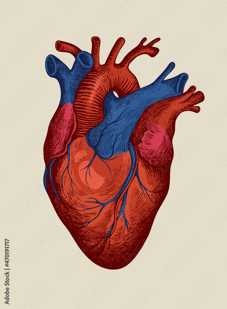 Tình yêu là một sự kết hợp của sự đam mê và sự khát khao. Hình ảnh con tim đỏ và xanh này chắc chắn sẽ khiến bạn cảm thấy như vậy.