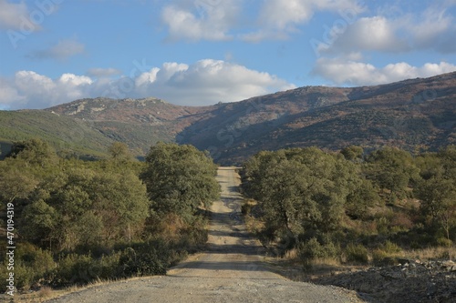 Light gray dirt track surrounded by oaks in autumn colors, leading up to the head of Ruta del Chorro hike at the hilly Northern entry of Cabaneros National Park, Robledo del Buey, Spain photo