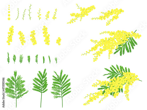 ミモザのイラストセット