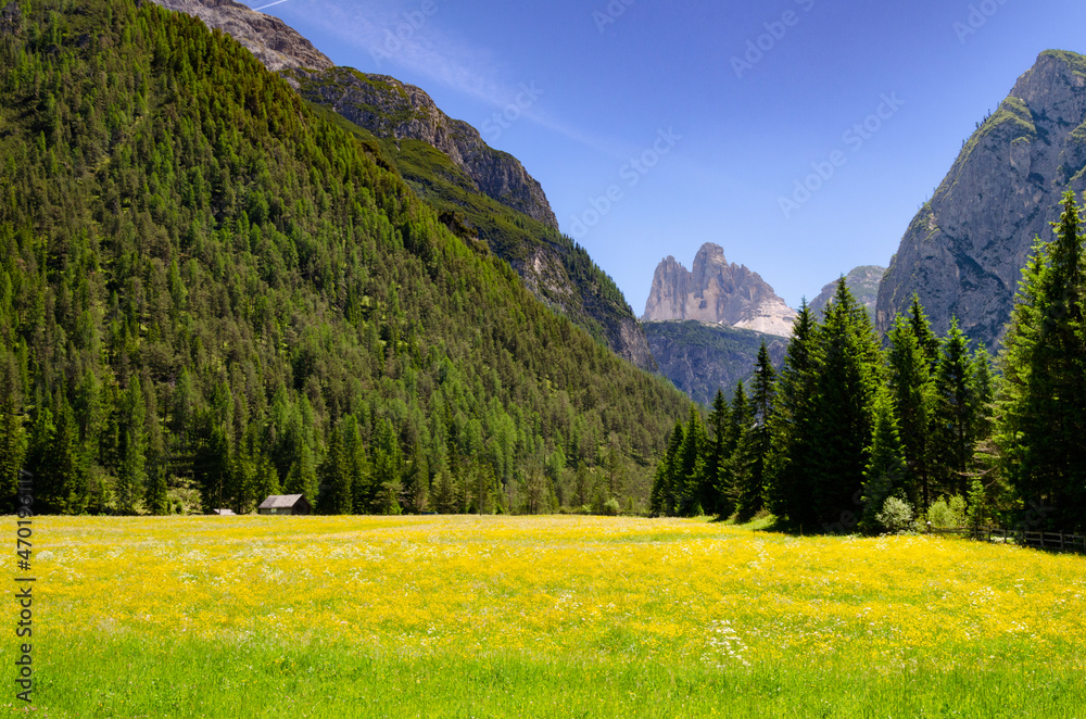 Blick auf die Drei Zinnen - Tre Cime di Lavaredo, Dolomiten, Südtirol, Italien