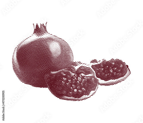 Engraved garnet fruit illustration concept