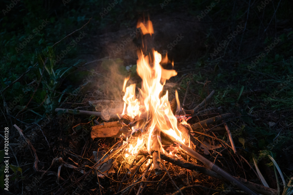 Fire at night in camp from wooden logs. Fire at night in camp from wooden logs.