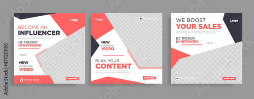 Influencer social media post collection