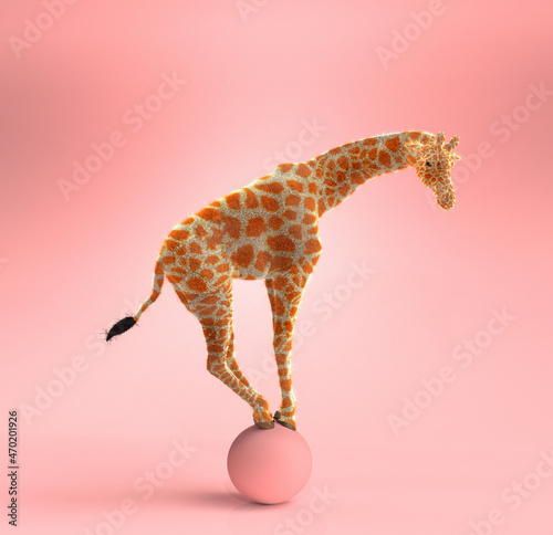 Photography Giraffe swinging on an pink ball. 3D illustration
