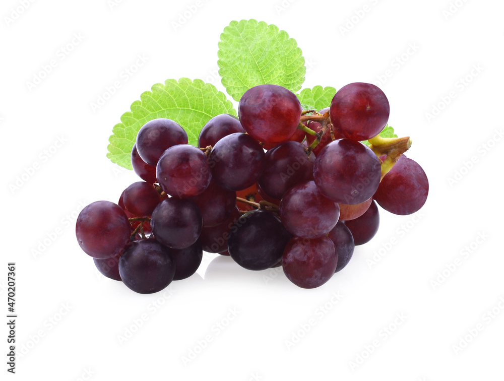 Fototapeta premium Grapes. Red grape. Grape branch isolated on white. With clipping path. Full depth of field.