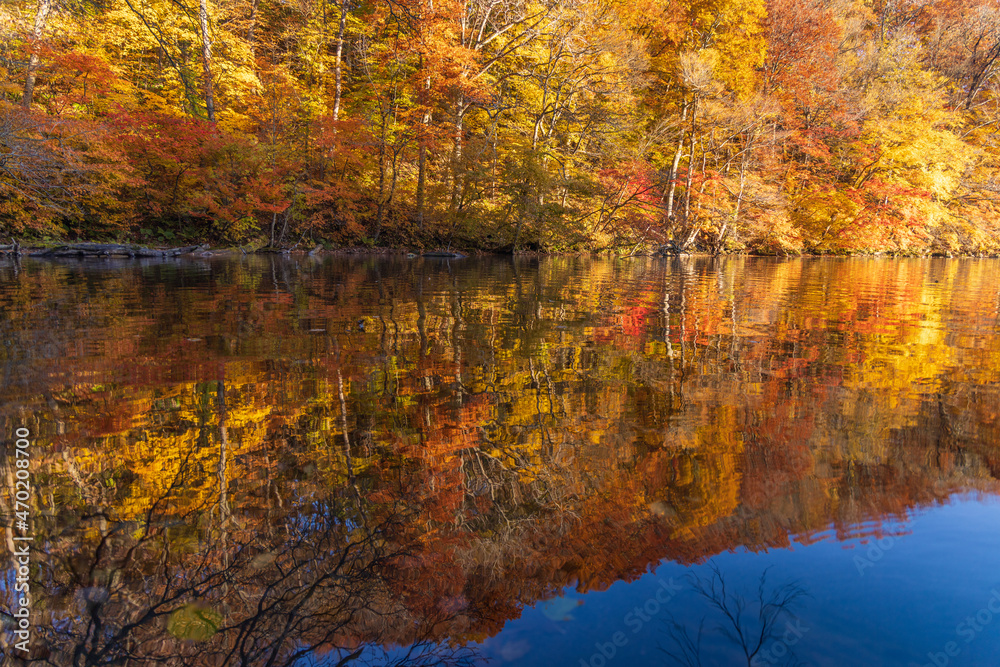 autumn leaves reflected in water autumn leaves reflected in water